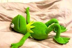 kermit frog exhausted Meme Template
