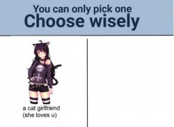 Choose wisely Meme Template