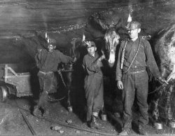 mule drivers coal mine Meme Template