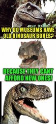 Old dinosaur bones Meme Template