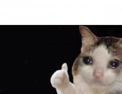 Crying cat thumbs up Meme Template