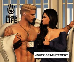 second life ad Meme Template