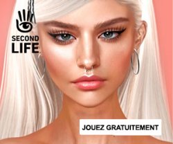 second life ad Meme Template