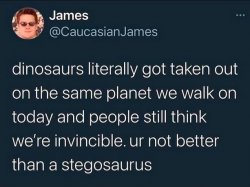 Ur not better than a stegosaurus Meme Template