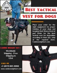 Best tactical vest for dogs Meme Template