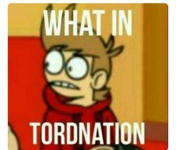 What in tordnation Meme Template