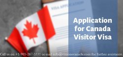 Application for Canada Visitor Visa Meme Template