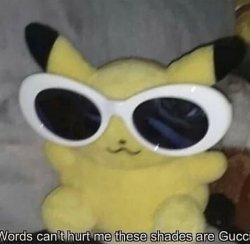 Words can't hurt me these shades are Gucci Meme Template