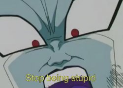 Stop being stupid Meme Template