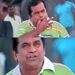 Brahmi whistle meme Meme Template