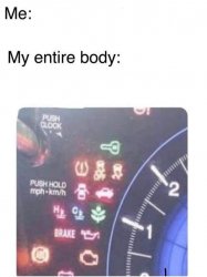 My entire body Meme Template