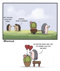 Hedgehog comic Meme Template
