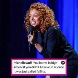 Michelle Wolf It was just called failing Meme Template
