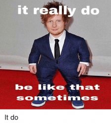 Wide Ed Sheeran It really do be like that sometimes Meme Template