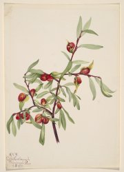 Random Exclaim Meme Template