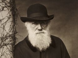 Charles Darwin Meme Template