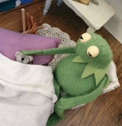 Kermit petting bear Meme Template