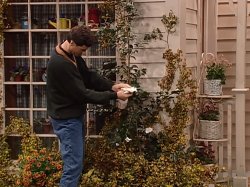 Danny Tanner Cleaning Leaves Meme Template