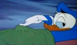 Donald Duck boner Meme Template
