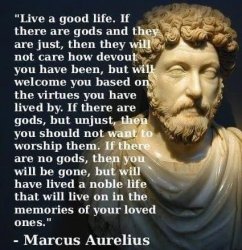 Marcus Aurelius quote Meme Template