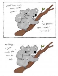 Mother koala and kid Meme Template