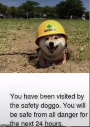 You have been visited by the safety doggo Meme Template