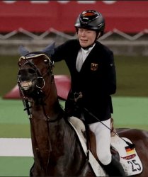Horse Olympic Girl Meme Template