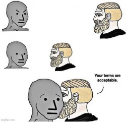 Your Terms Are Acceptable Meme Template