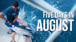 Five days in August Meme Template