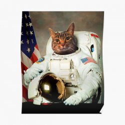 Cat astronaut Meme Template