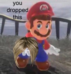 Mario Karen you dropped this Meme Template