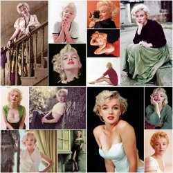 Marilyn Monroe montage Meme Template