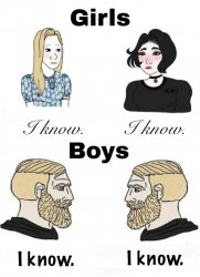 Girls boys I know x4 Meme Template