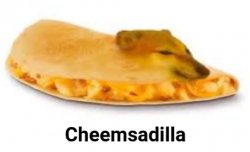 Cheemsadilla Meme Template