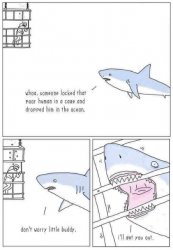 Shark rescues cage diver Meme Template