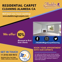 Residential Carpet Cleaning Alameda CA Meme Template