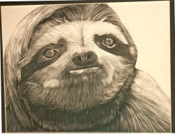 Artistic sloth Meme Template