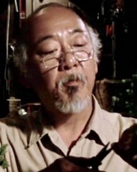 Mr. Miyagi Meme Template