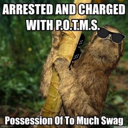 Sloth possession of too much swag Meme Template
