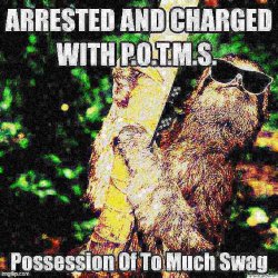 Sloth possession of too much swag deep-fried Meme Template