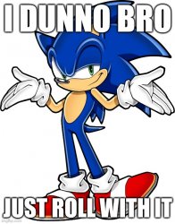 Sonic just roll with it Meme Template