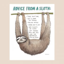 Advice from a sloth Meme Template