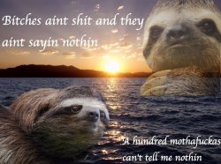 Sloth bitches ain’t shit Meme Template