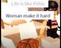 life is like penis, woman make it hard. Meme Template