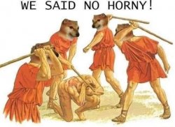 No horny doge Meme Template