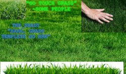 The_shady grass temp Meme Template