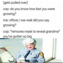 Grandma Cop Meme Template