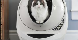 Space Age Cat Meme Template