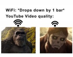 kong wifi Meme Template