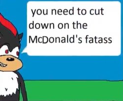 you need to cut down on the mcdonalds fatass Meme Template